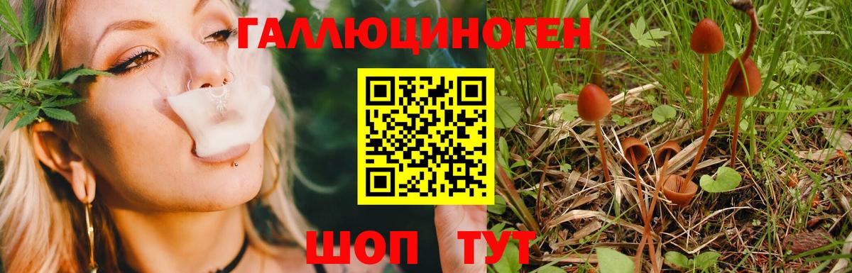 Галлюциногенные грибы мухоморы  Вход с VPN  Спасск-Дальний  Галлюциногенные грибы ЛСД 